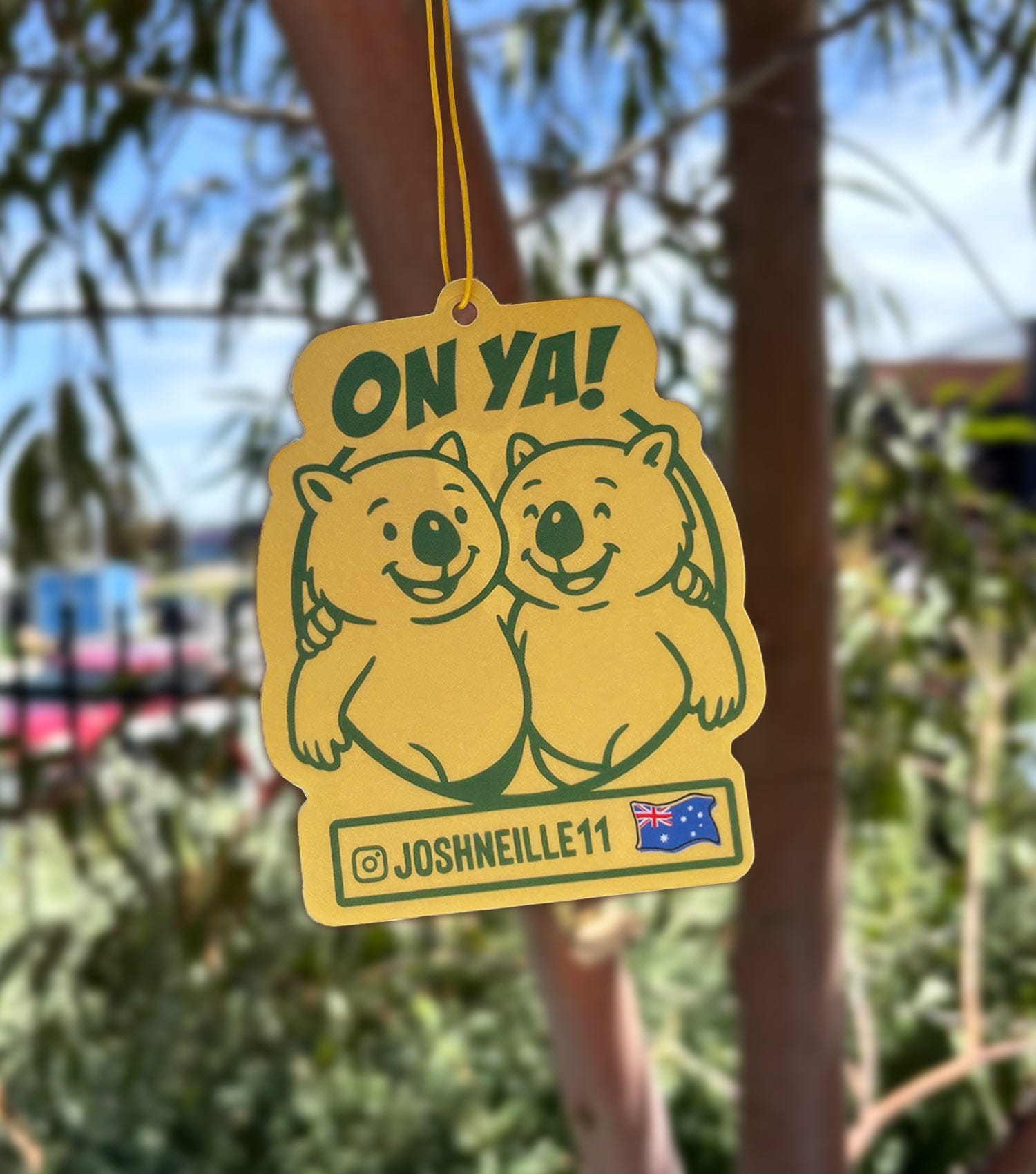 The Colour Cartel