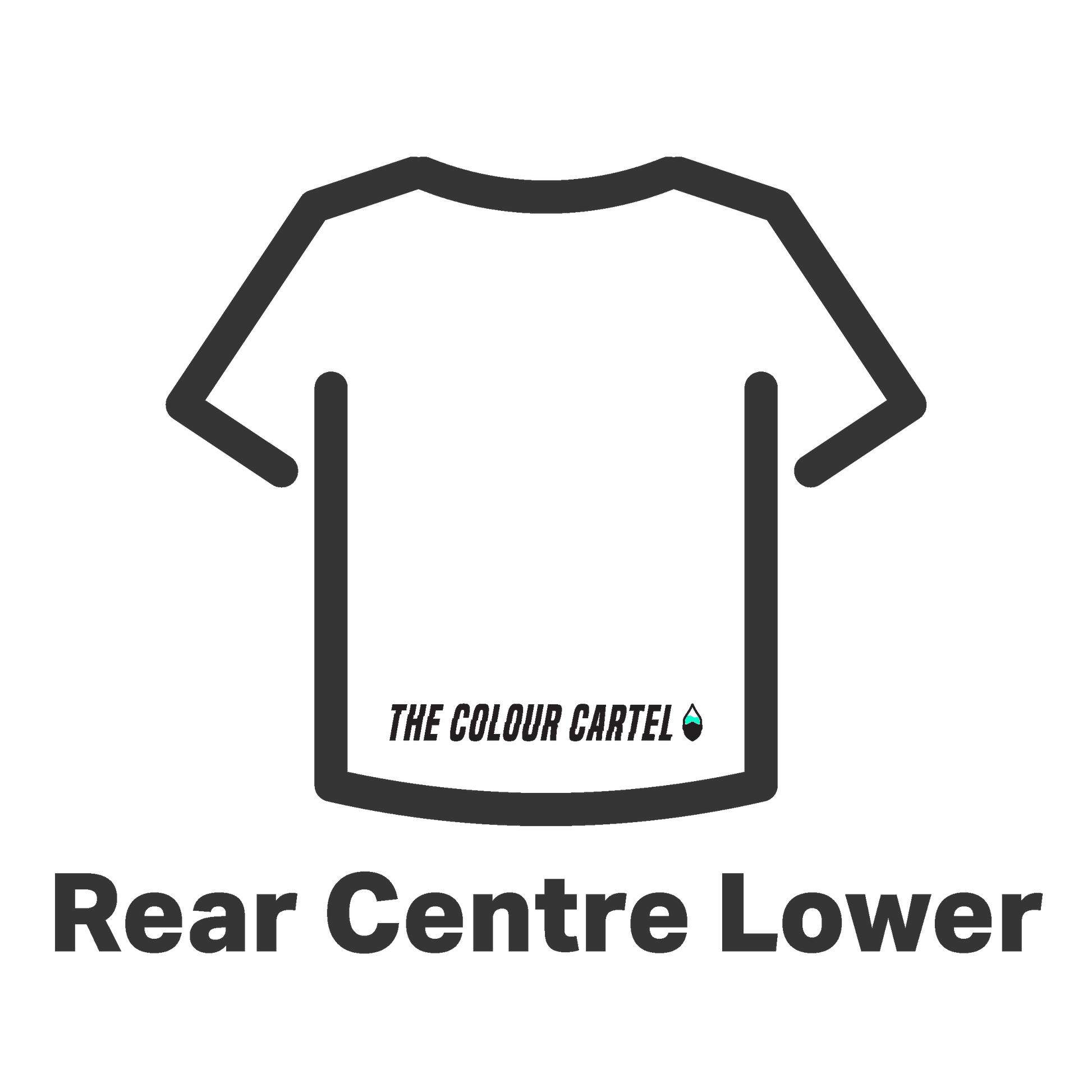The Colour Cartel Print Position T-Shirt Rear Centre Lower